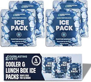 Cooler or Ice Packs