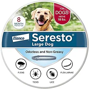 Flea and Tick Prevention