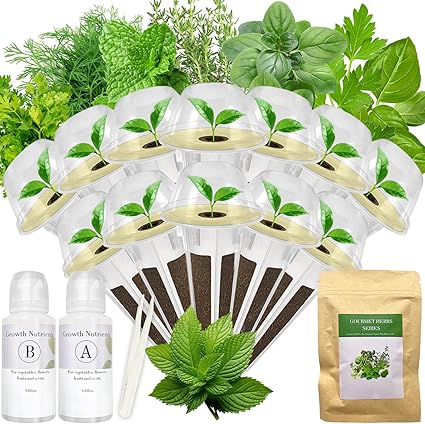 Aromatic Herb Sampler Kit