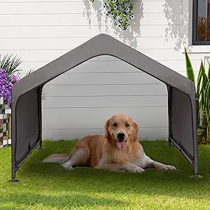 Shelter or Doghouse