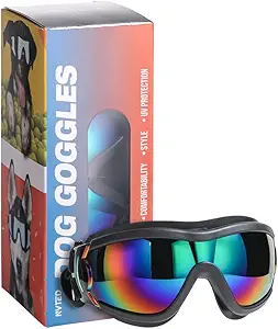 Dog Sledding Goggles