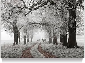 Reference Photos of Winter Scenes