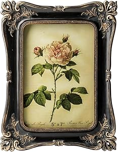 Antique or Retro Frames