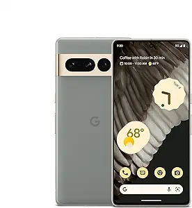 Camera or Smartphone
