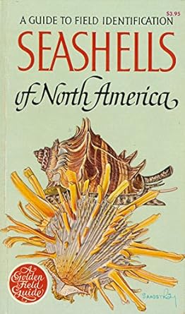 Field Guide to Seashells