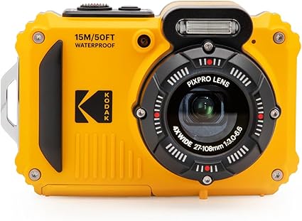 Camera or Smartphone