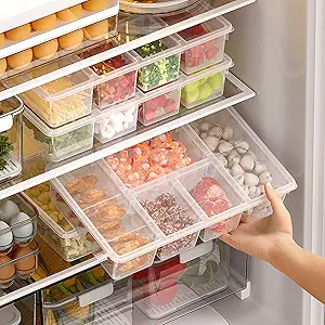 Multi-Compartment Storage Containers