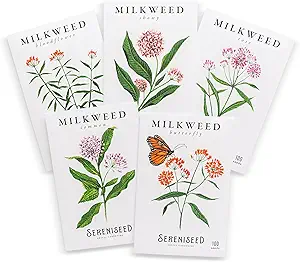 Native Plant Seeds