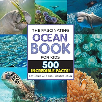 Sea Animal Guidebook