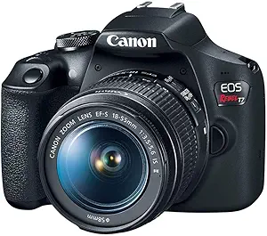 Camera or Smartphone