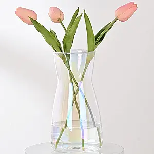 Glass or Ceramic Vases