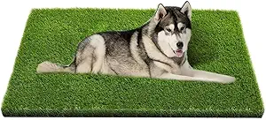 Pet-Friendly Lawn