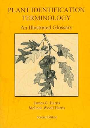 Plant Identification Guide