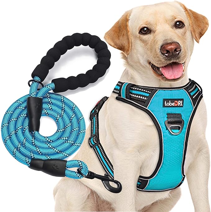Leash or Harness