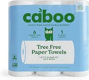 Wet Wipes and Paper Towels
