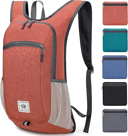 Small Backpack or Bag