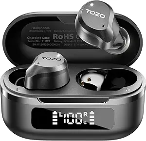 Noise-Cancelling Earbuds