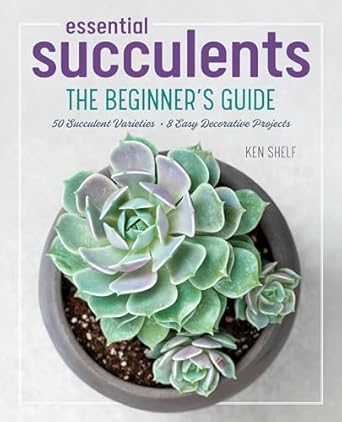 Succulent Care Book