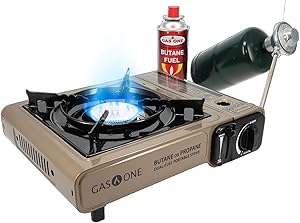 Multi-Fuel Stove