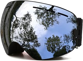 Ski Goggles