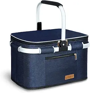 Snack Pack or Picnic Basket