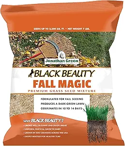 Grass Seed