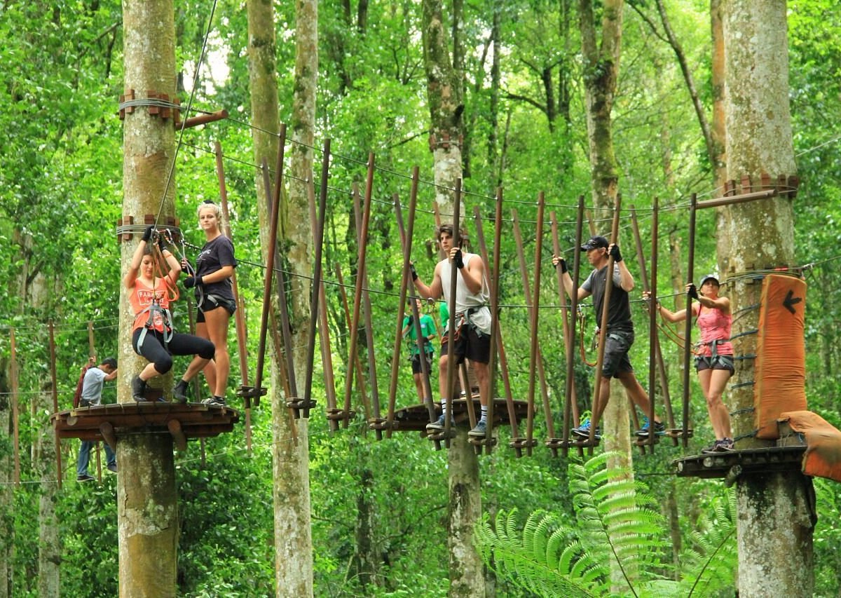 Treetop Adventure Ready: Essential Gear for an Exciting Journey Above the Forest Canopy