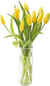 Fresh Flowers