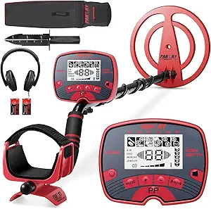 Metal Detector